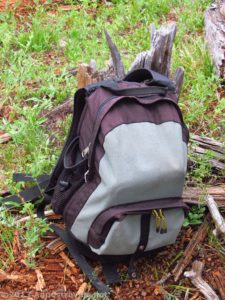 A daypack in a forest