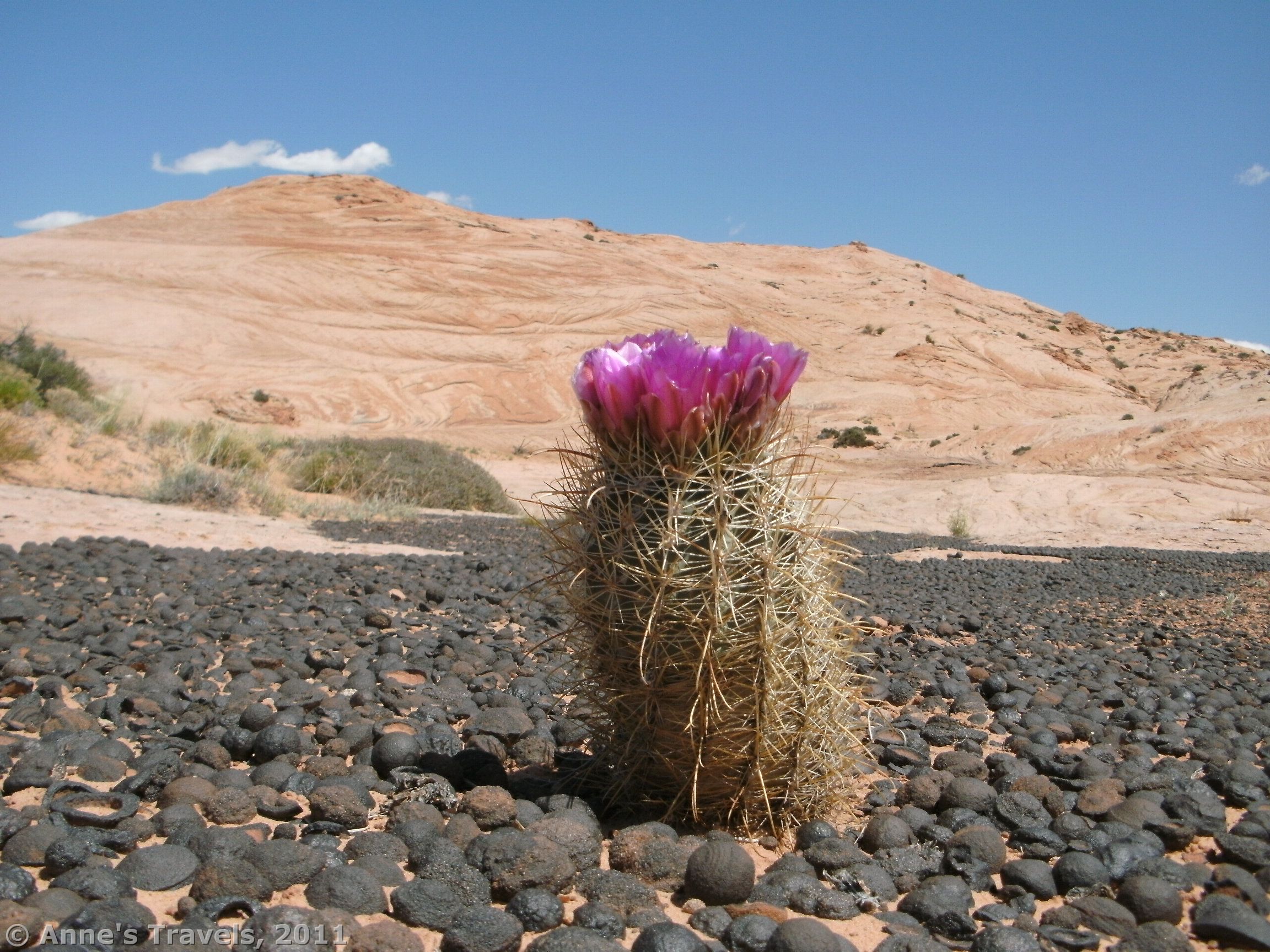 best hikes in grand staircase escalante