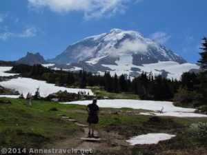 Mt. Rainier and the Spray Park Trail from Spray Park, Mt. Rainier National Park, Washington