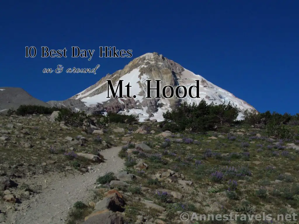 10 Best Day Hikes On & Around Mt. Hood - Anne's Travels