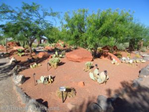 Desert plants in the Red Hills Desert Garden in Pioneer Park above St. George, Utah