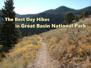 Discover the Best Day Hikes in Great Basin National Park, Nevada