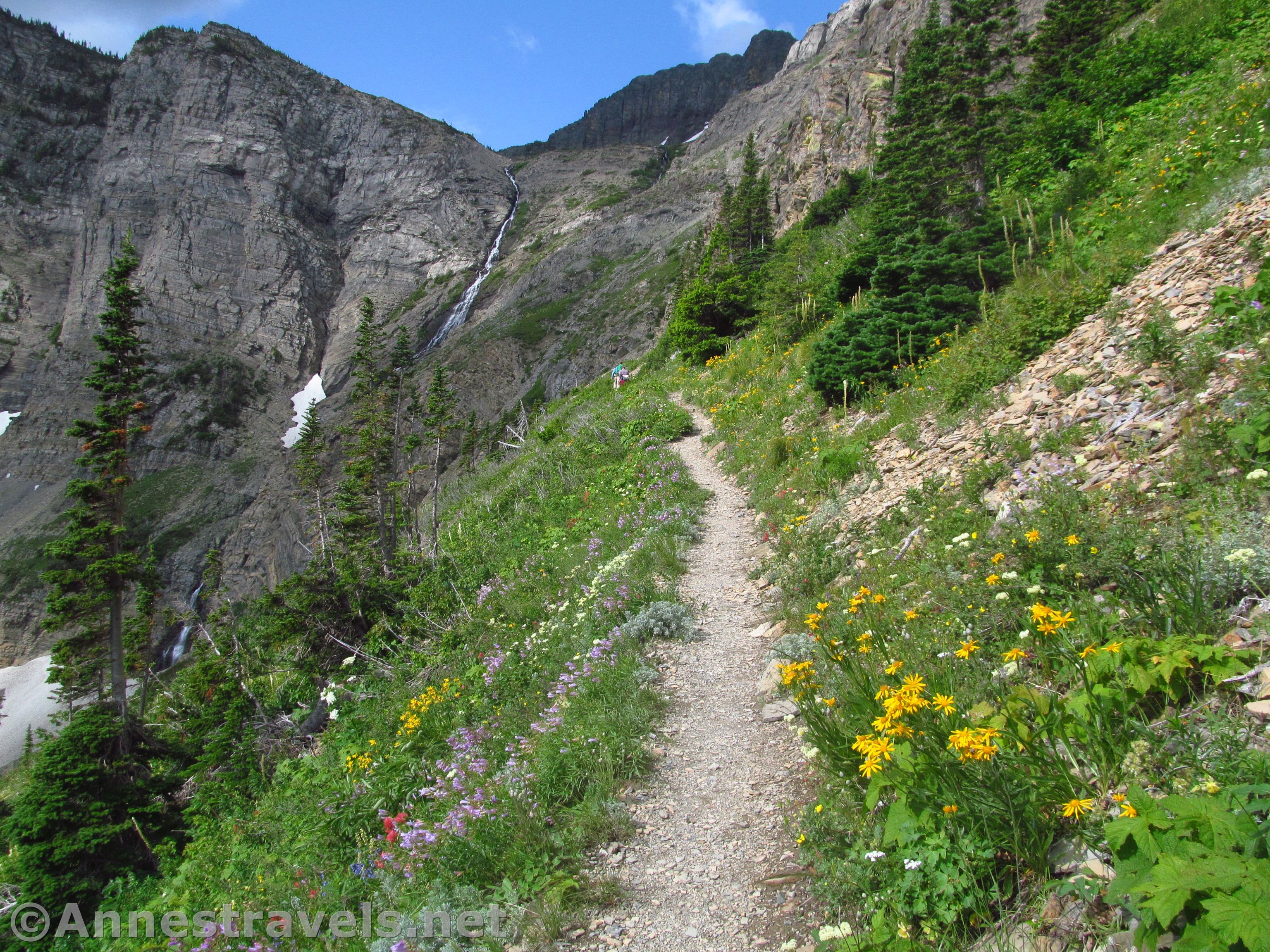 THE 15 BEST Things to Do in Swift Current - 2021 (with Photos) - Tripadvisor