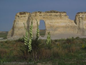 Small Soapweed Flowers in front of the Keyhole arch in Monument Rocks National Natural Landmark, Kansas