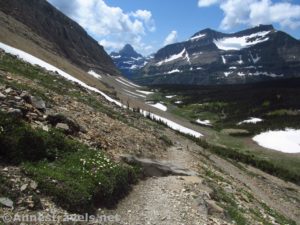 Looking down on Preston Park and Reynolds Mountain from the Siyeh Pass Trail, Glacier National Park, Montana