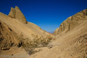 A spire and creosote bushes part way up 20 Mule Team Canyon, Death Valley National Park, California