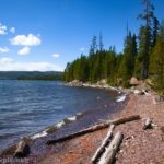 North shoreline of Lewis Lake, Yellowstone National Park, Wyoming