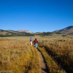 Hiking through the meadows of the Terrace Mountain Loop, Yellowstone National Park, Wyoming