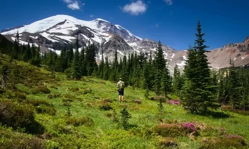 An Old Mining Road & the Climbers Trail to Emmons Glacier Vistas!