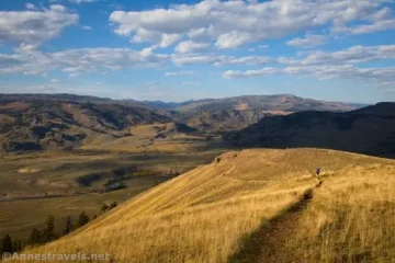 Adventures on the Fossil Forest Route