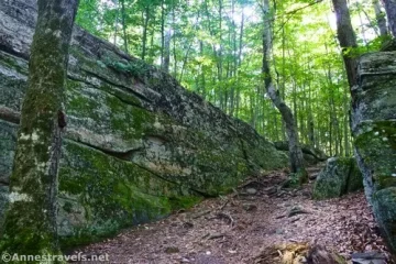 The Rock Garden in Worlds End State Park