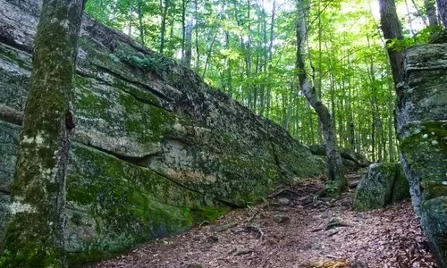 The Rock Garden in Worlds End State Park