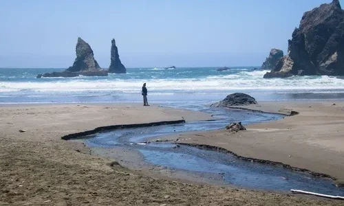 Oregon Coast Trail: Whaleshead Beach to China Beach