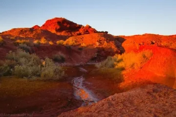 Finding Butch Cassidy’s Cabin at Robber’s Roost